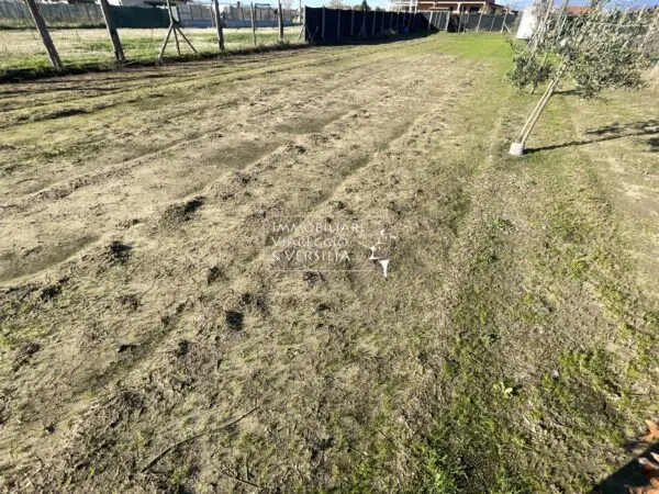 Terreno Agricolo via, Viareggio