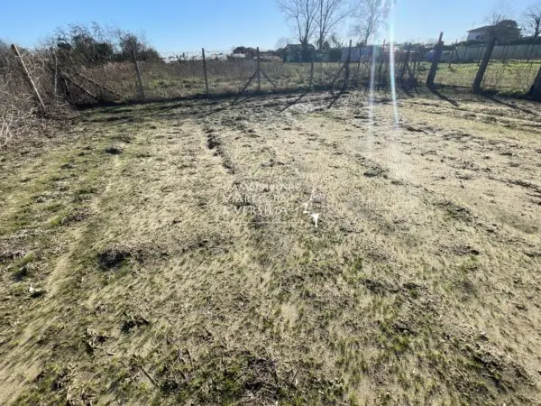 Terreno Agricolo via, Viareggio