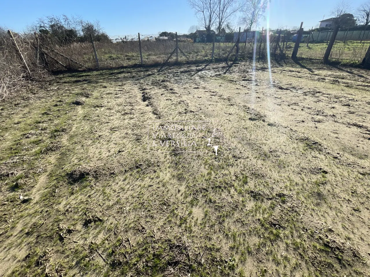 Immagine per Terreno Agricolo in vendita a Viareggio  