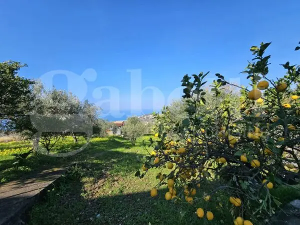 Appartamento via Salice 10, Diamante