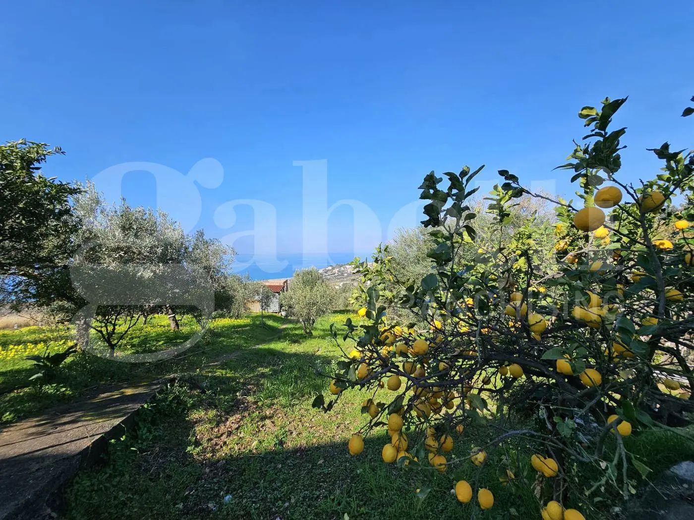 Immagine per Appartamento in vendita a Diamante via Salice 10