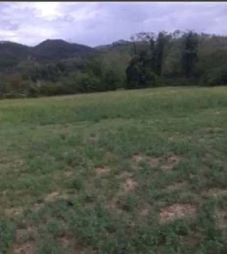 Terreno Agricolo via Antica Romana Snc, Brugnato