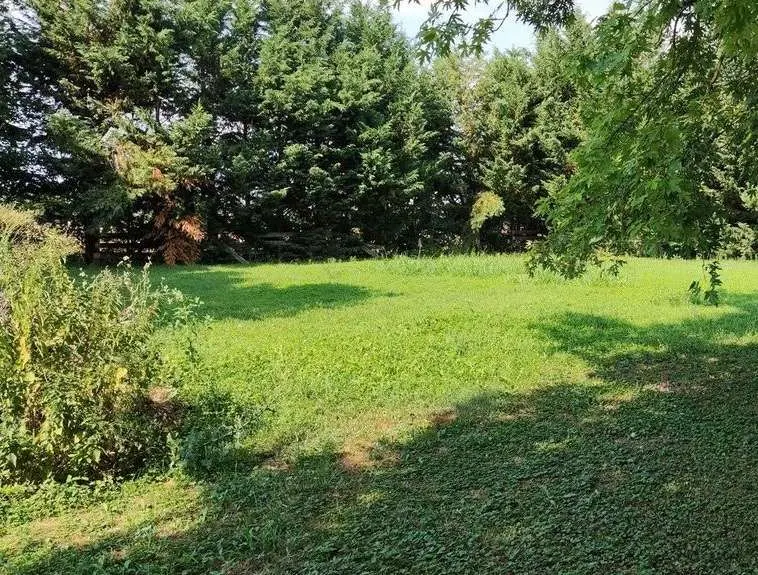 Immagine per Stabile - Palazzo in asta a Boretto 11