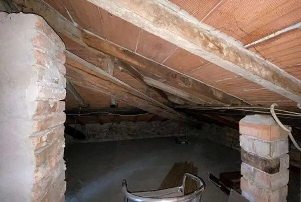 Appartamento 11, Salsomaggiore Terme