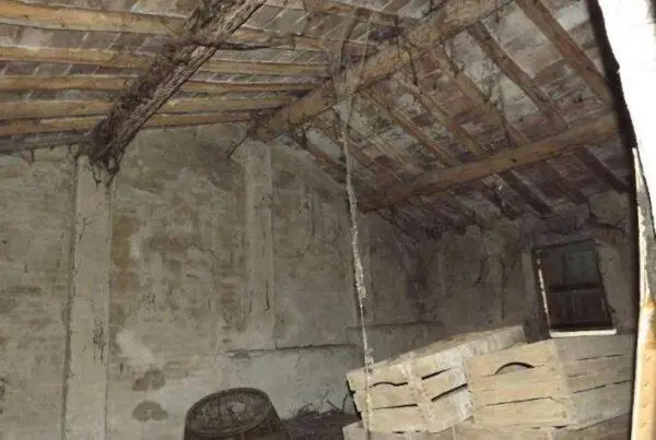 Stabile - Palazzo strada Langhirano 116, Parma