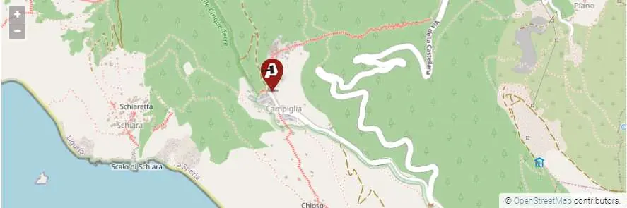 Immagine per Terreno agricolo in asta a La Spezia snc