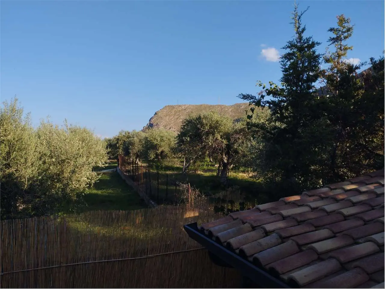 Immagine per Villa in vendita a Altavilla Milicia