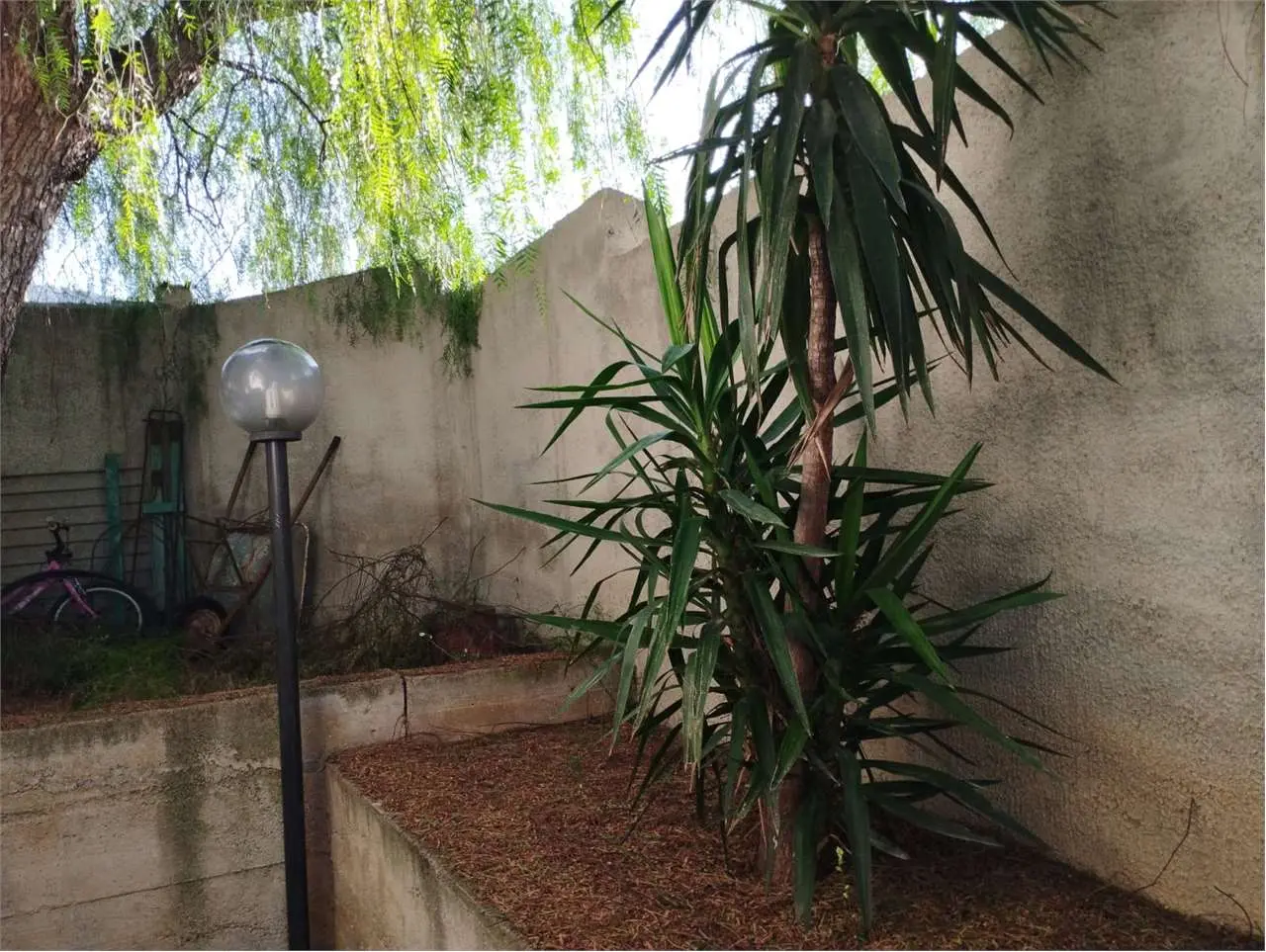 Immagine per Villa in vendita a Altavilla Milicia