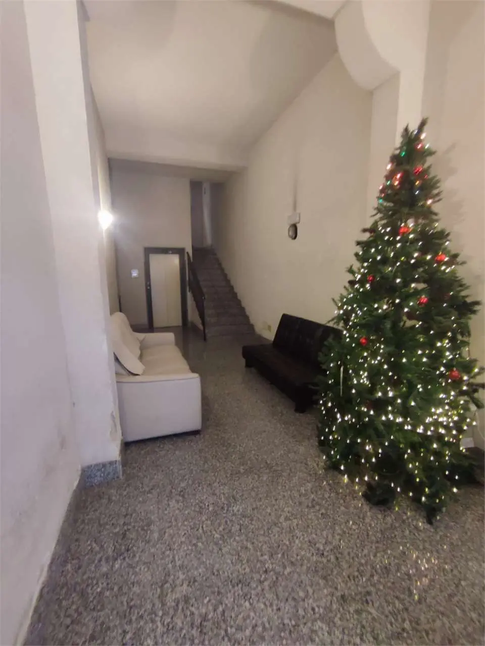 Immagine per Appartamento in affitto a Belmonte Mezzagno