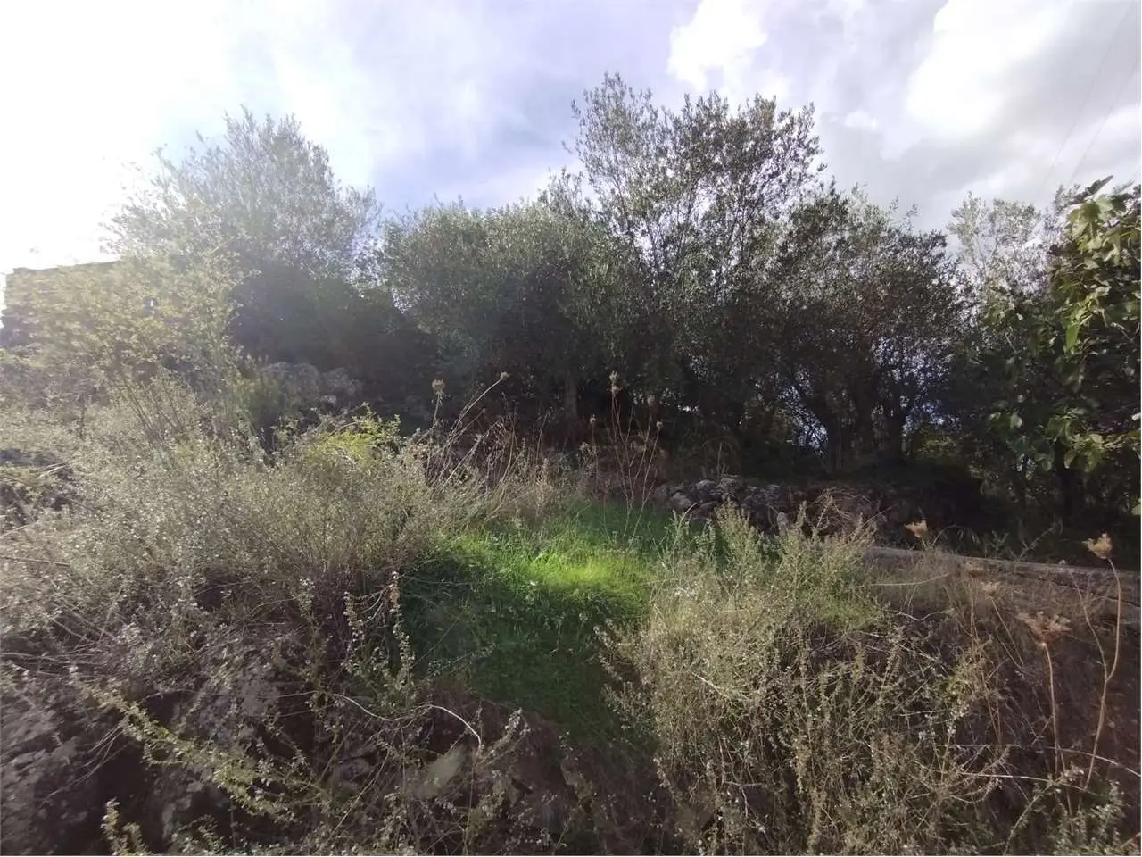 Immagine per Appartamento in vendita a Altofonte