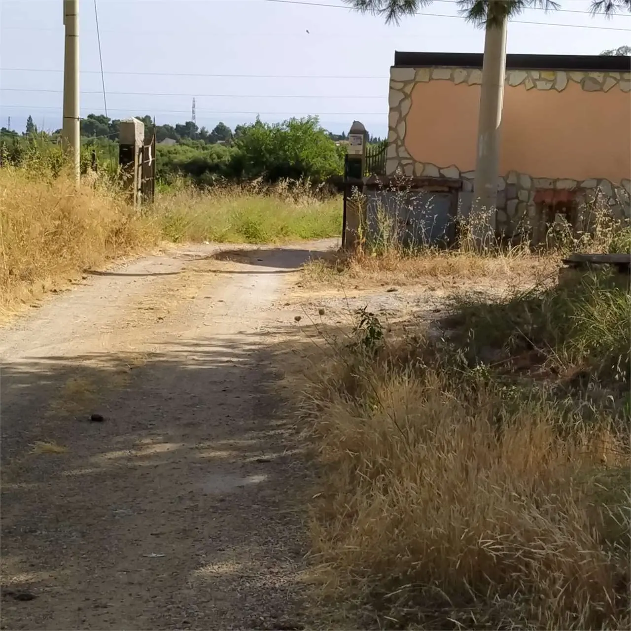 Immagine per Villa in vendita a Altavilla Milicia