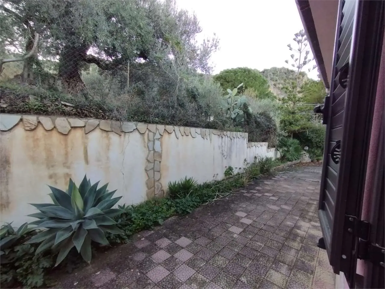 Immagine per Villa in vendita a Altavilla Milicia