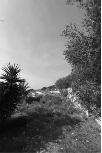 Villa 35, Sanremo