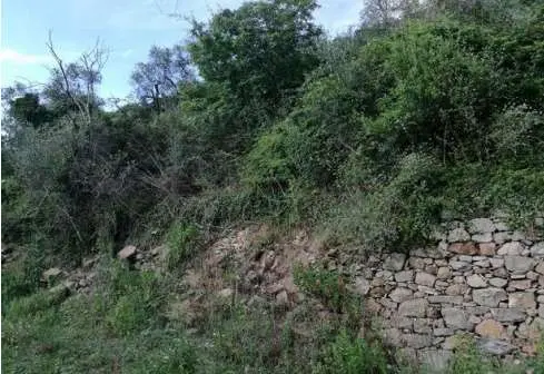 Appartamento piazza Brigata Liguria 31, Chiusanico