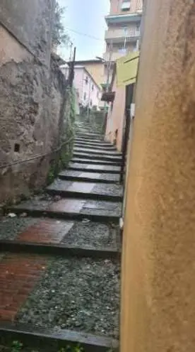 Immagine per Appartamento in asta a Genova via Salita Chiapparolo 13 A
