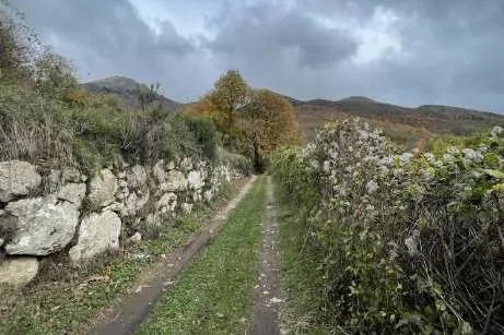 Terreno Agricolo via Località Statale, Ne