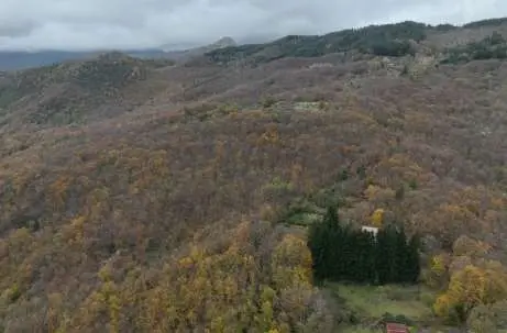 Terreno Agricolo via Località Statale, Ne