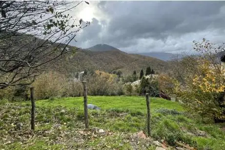 Terreno Agricolo via Località Statale, Ne