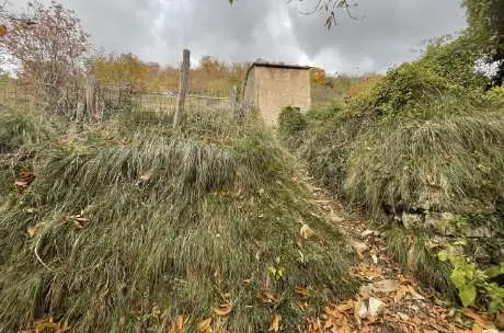 Terreno Agricolo via Località Statale, Ne