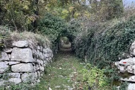 Terreno Agricolo via Località Statale, Ne