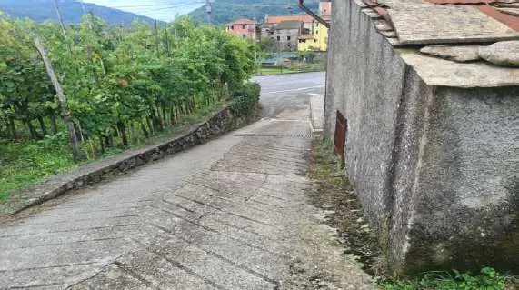 Immagine per Villa in asta a Varese Ligure via Carmi 11A