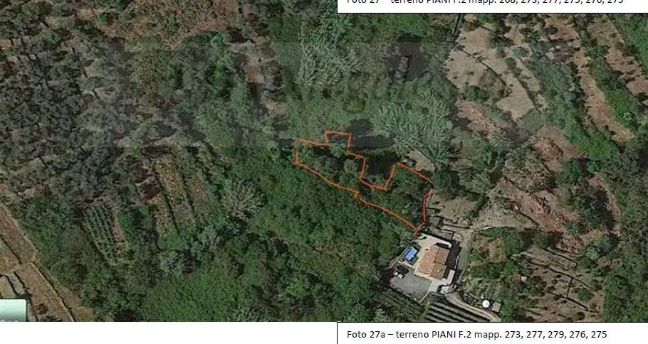 Immagine per Terreno agricolo in asta a Imperia via Frazione Poggi - Piani snc