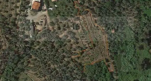 Terreno Agricolo via Frazione Poggi - Piani Snc, Imperia