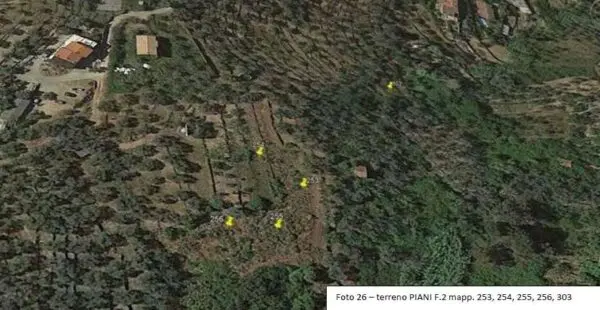 Terreno Agricolo via Frazione Poggi - Piani Snc, Imperia