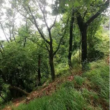 Terreno Agricolo via Snc, La Spezia