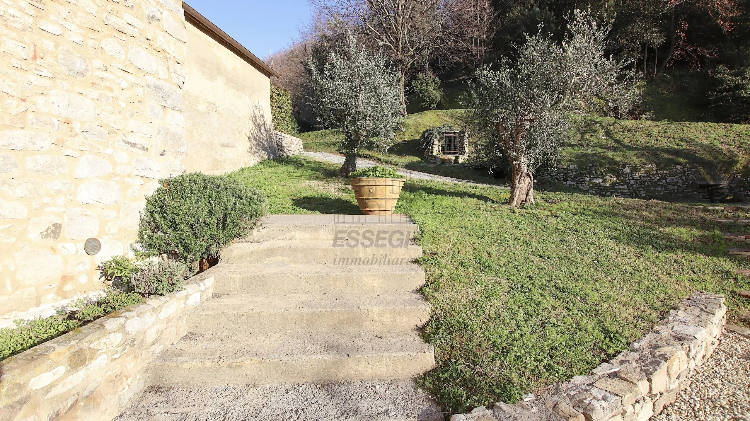 Immagine per Casale in vendita a Lucca via Della Pieve Santo Stefano 7165