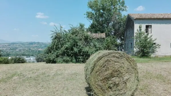 Villa Trifamiliare via Patellara 51, Controguerra