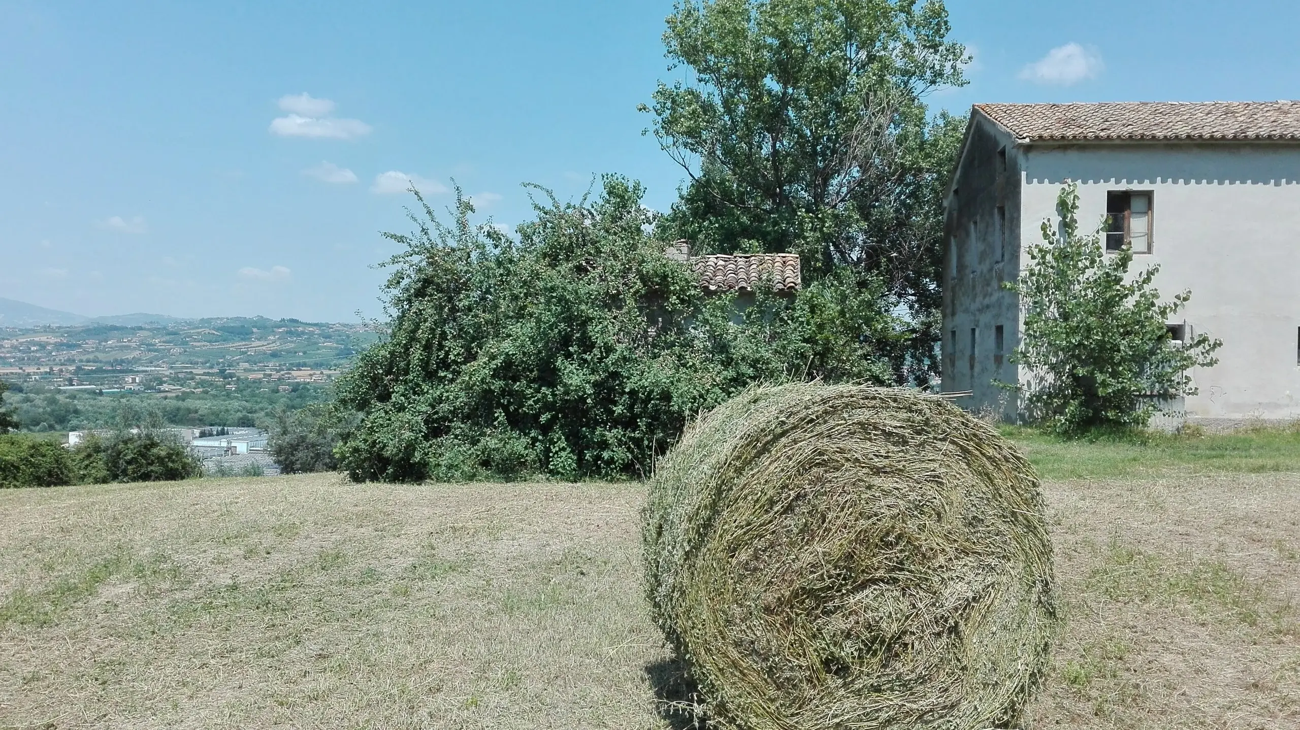 Immagine per Villa trifamiliare in vendita a Controguerra via Patellara 51