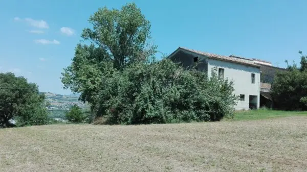 Villa Trifamiliare via Patellara 51, Controguerra