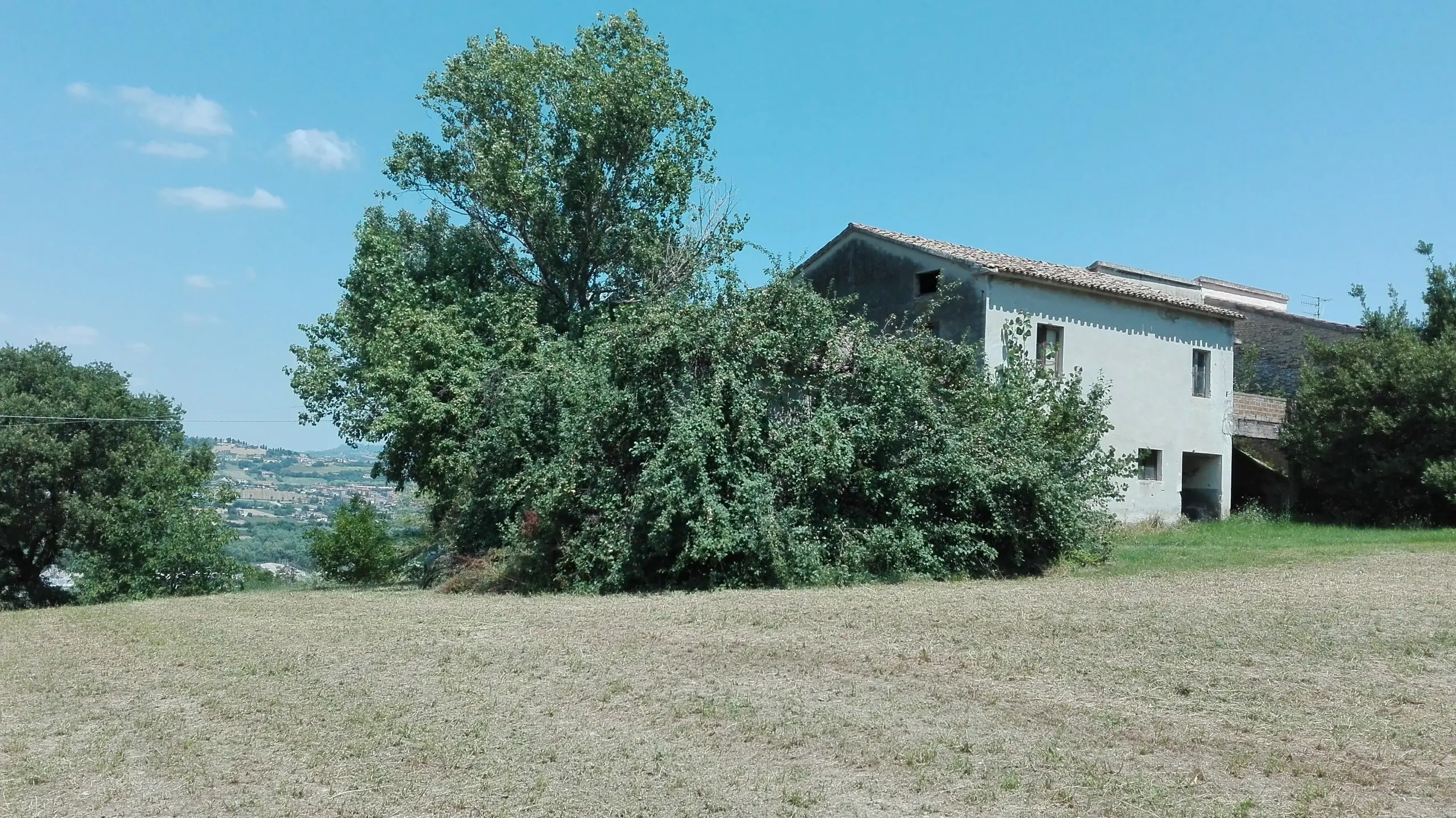 Immagine per Villa trifamiliare in vendita a Controguerra via Patellara 51