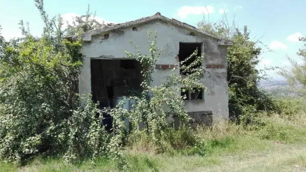 Villa Trifamiliare via Patellara 51, Controguerra