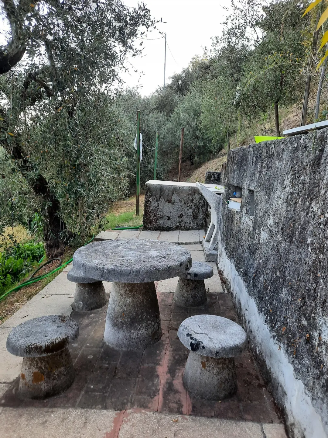 Immagine per Rustico in vendita a Santo Stefano di Magra via Mario Baria