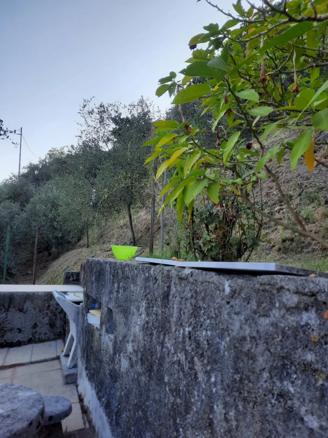 Immagine per Rustico in vendita a Santo Stefano di Magra via Mario Baria