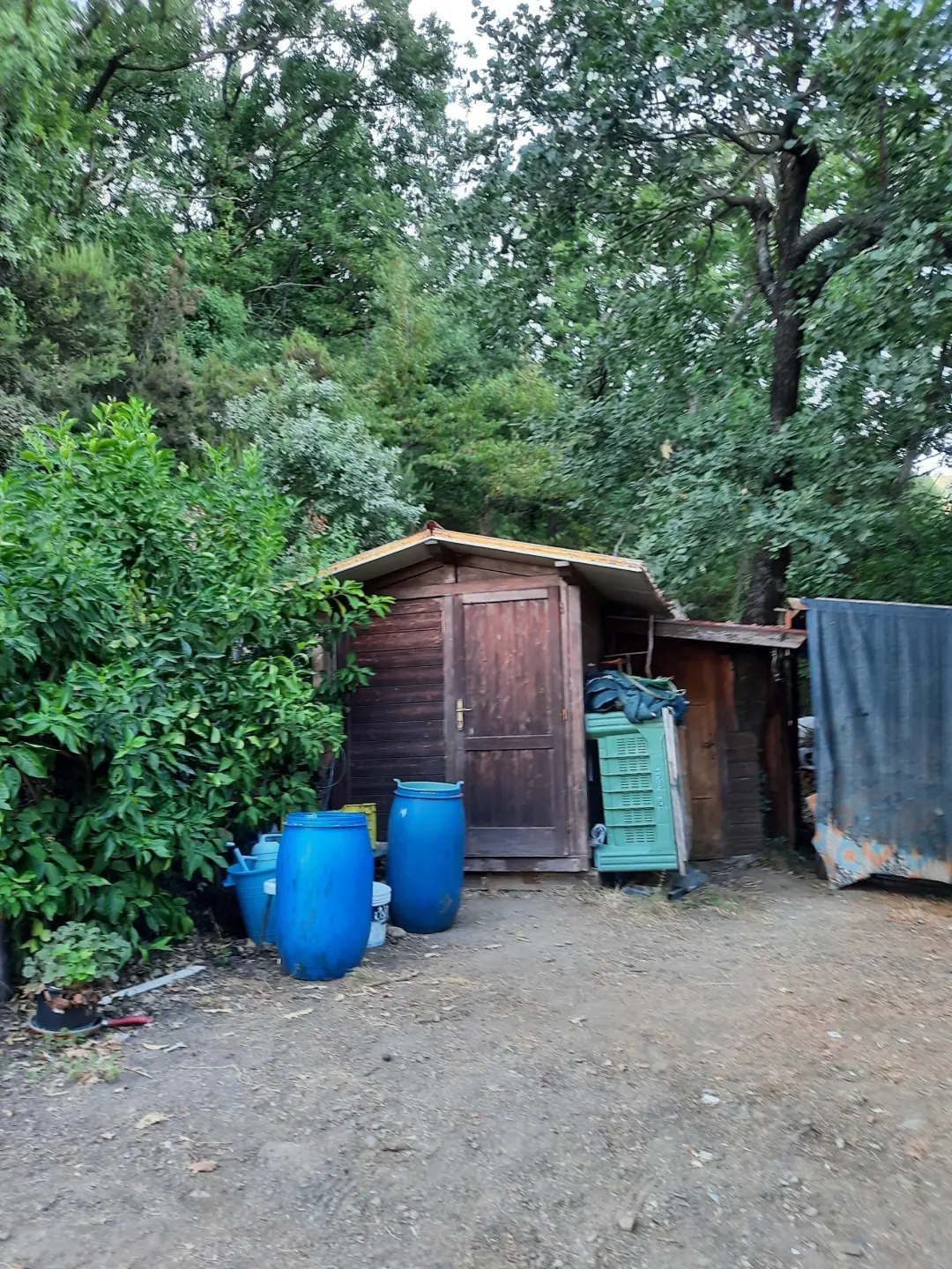 Immagine per Rustico in vendita a Santo Stefano di Magra via Mario Baria