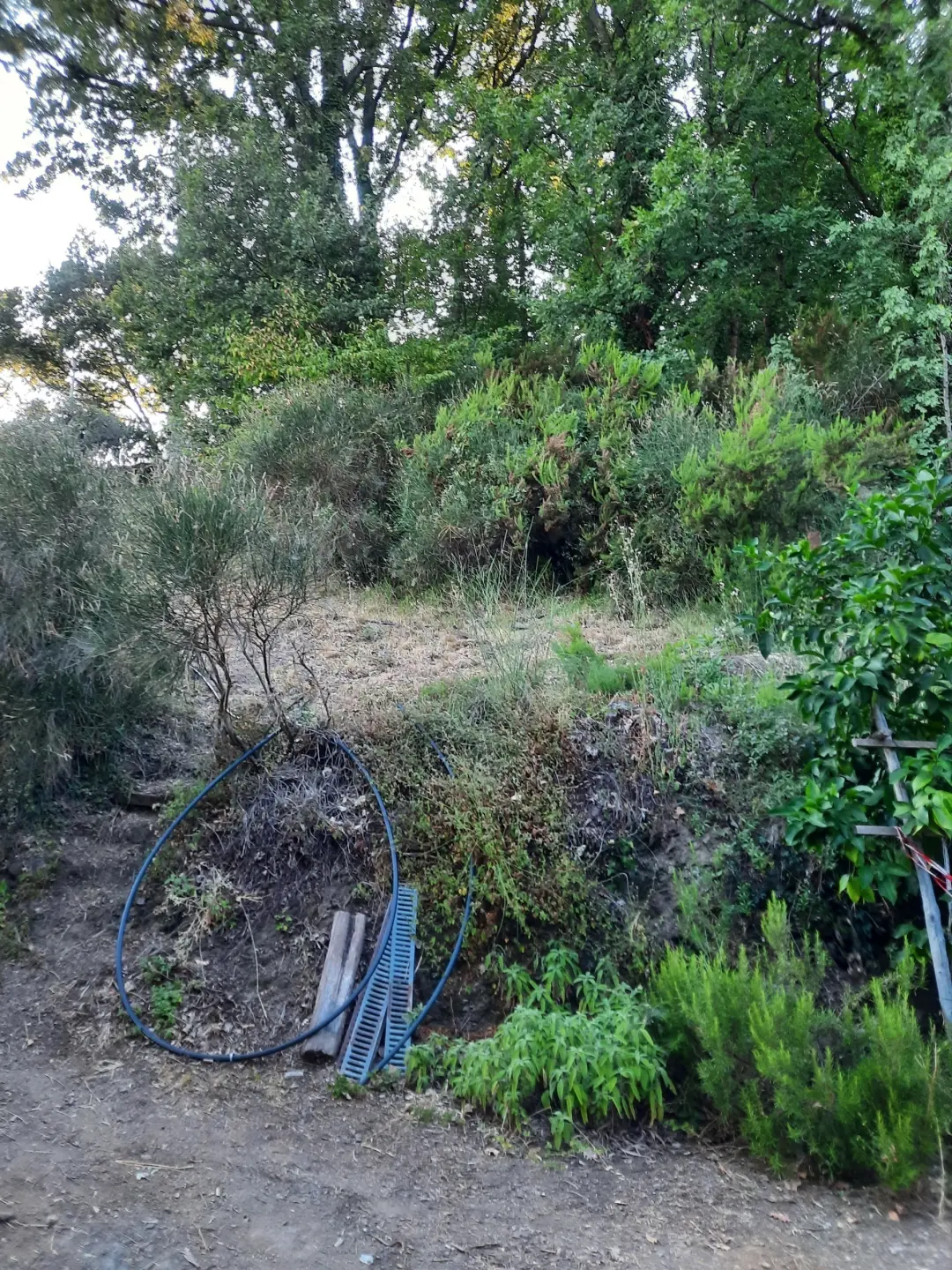 Immagine per Rustico in vendita a Santo Stefano di Magra via Mario Baria