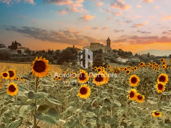 Casale via Vocabolo Pennicchia, Montecastrilli