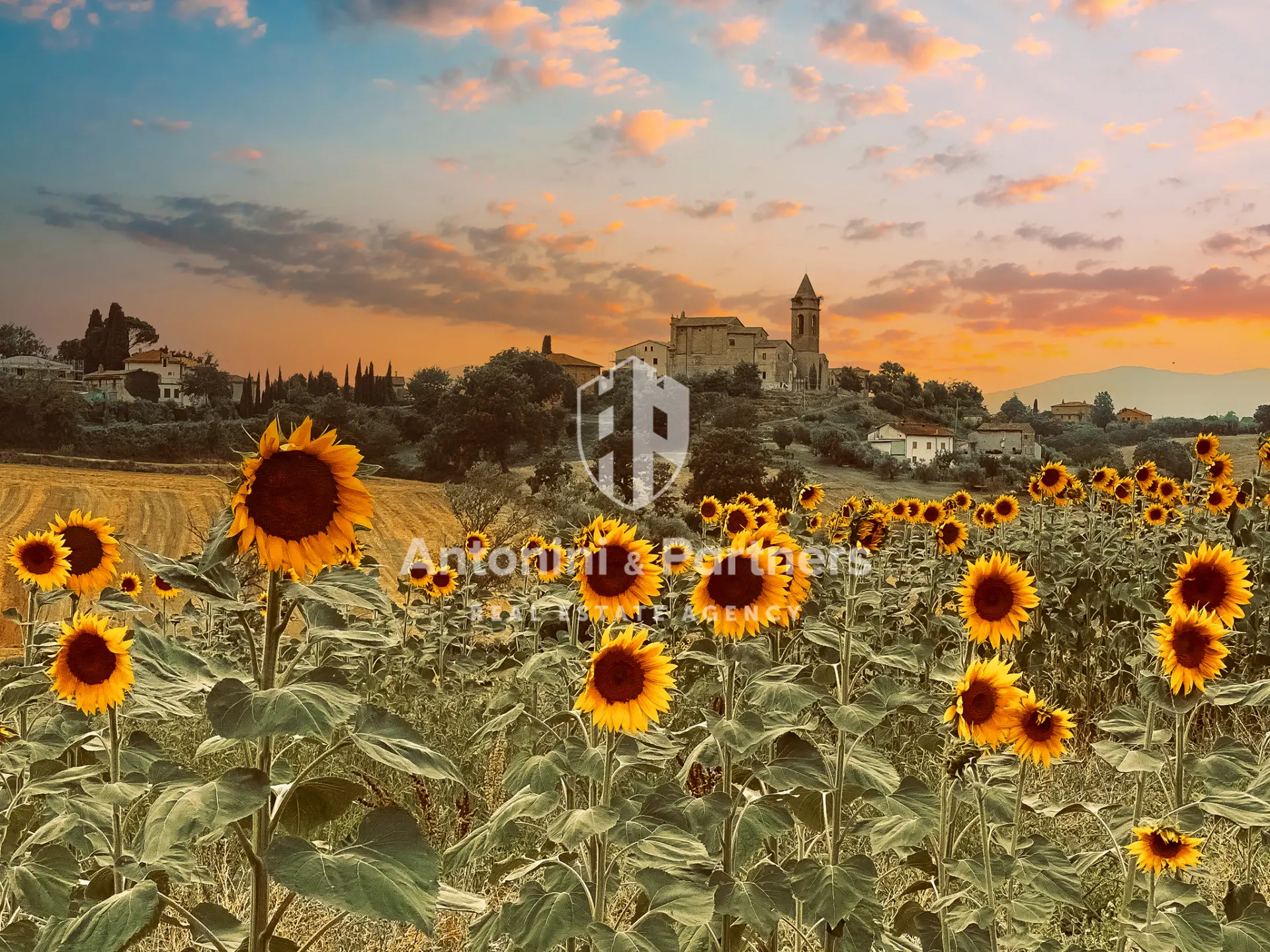 Immagine per Casale in vendita a Montecastrilli via Vocabolo Pennicchia