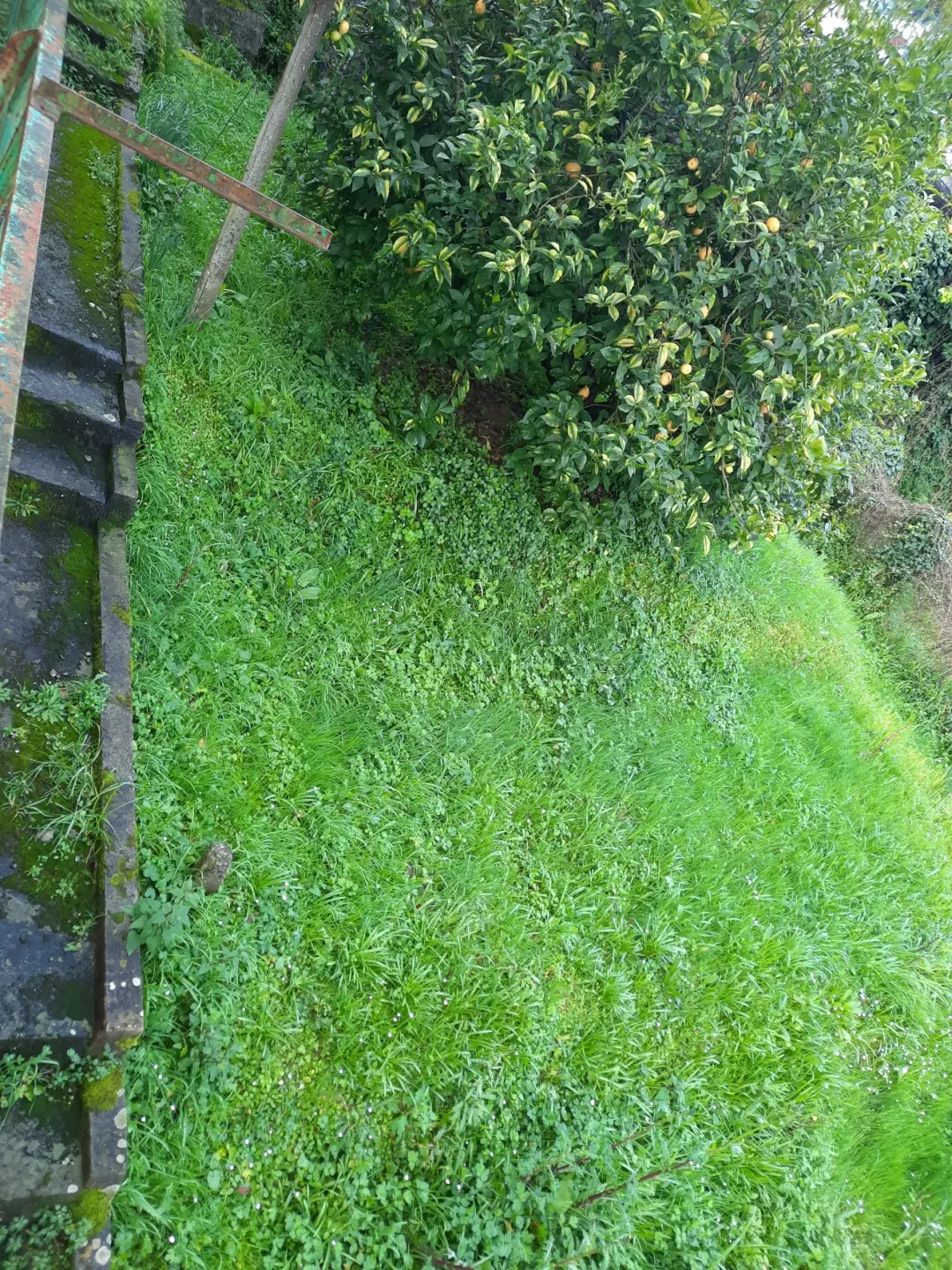 Immagine per Quadrilocale in vendita a Ameglia via Della Pace