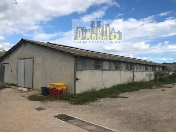 Casa Indipendente strada Provinciale 18, Offida