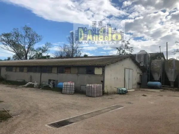 Casa Indipendente strada Provinciale 18, Offida