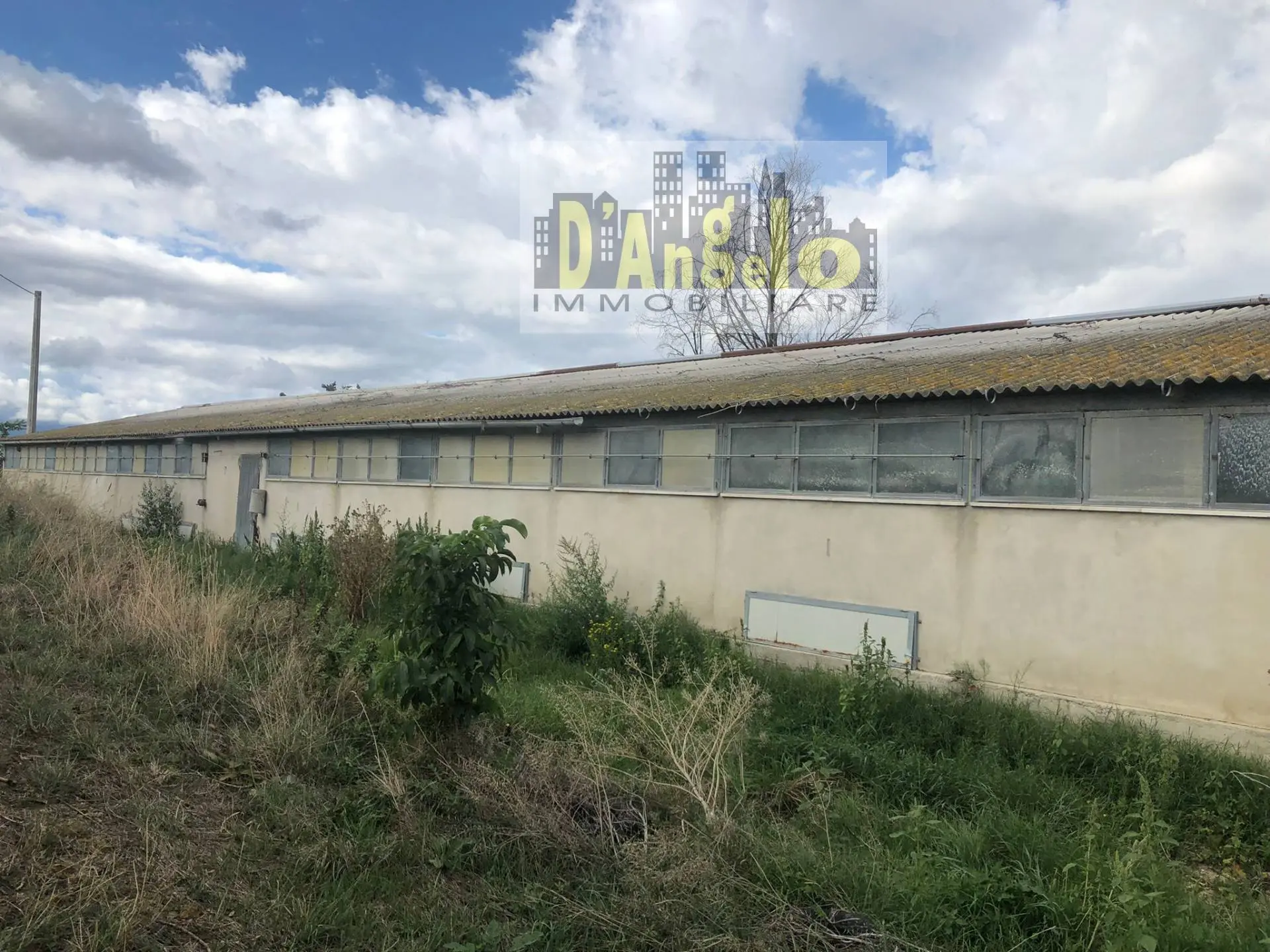 Immagine per Casa indipendente in vendita a Offida Strada Provinciale 18 