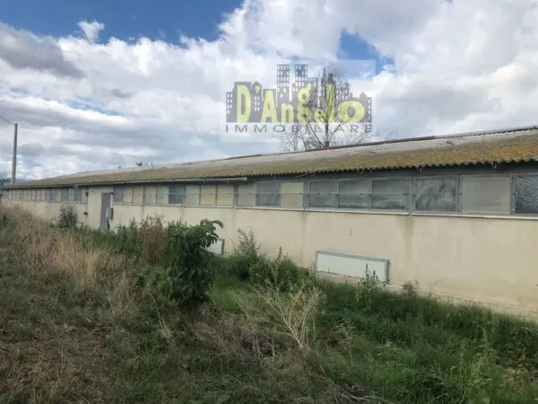 Casa Indipendente strada Provinciale 18, Offida
