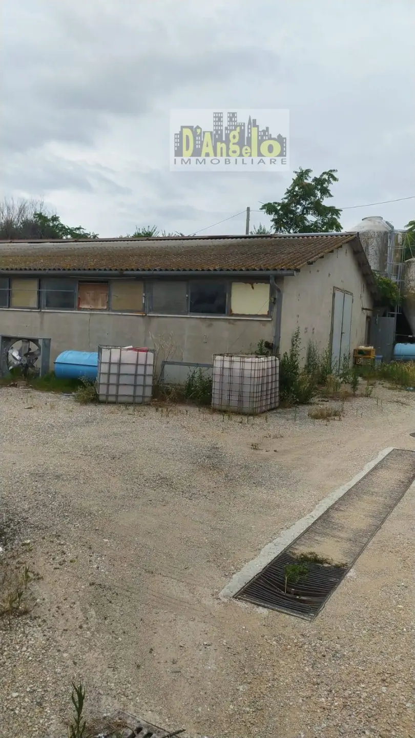 Immagine per Casa indipendente in vendita a Offida Strada Provinciale 18 