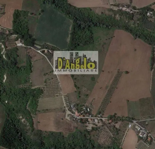 Azienda Agricola via Contrada Tesino, Offida