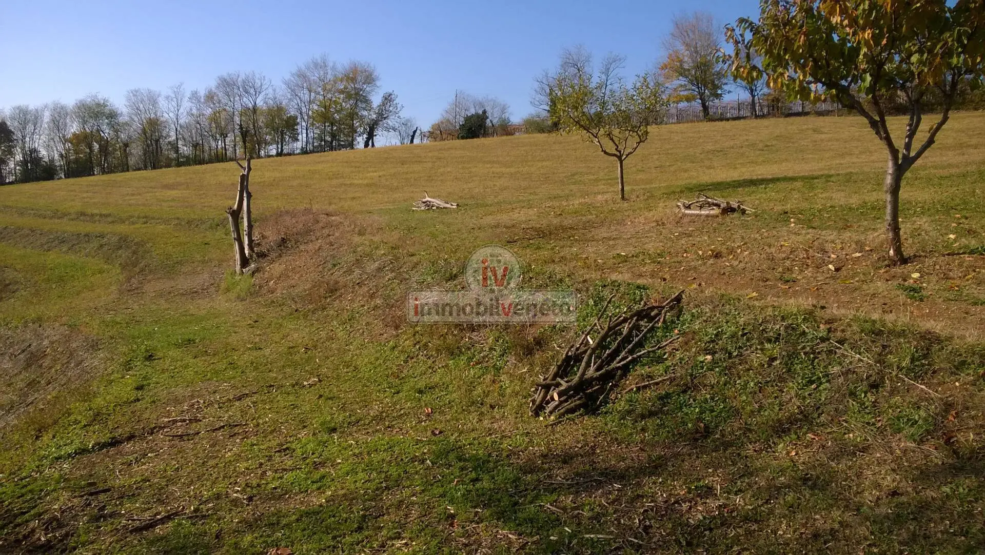 Immagine per Terreno Edificabile in vendita a Valdastico VIA ROMA 52