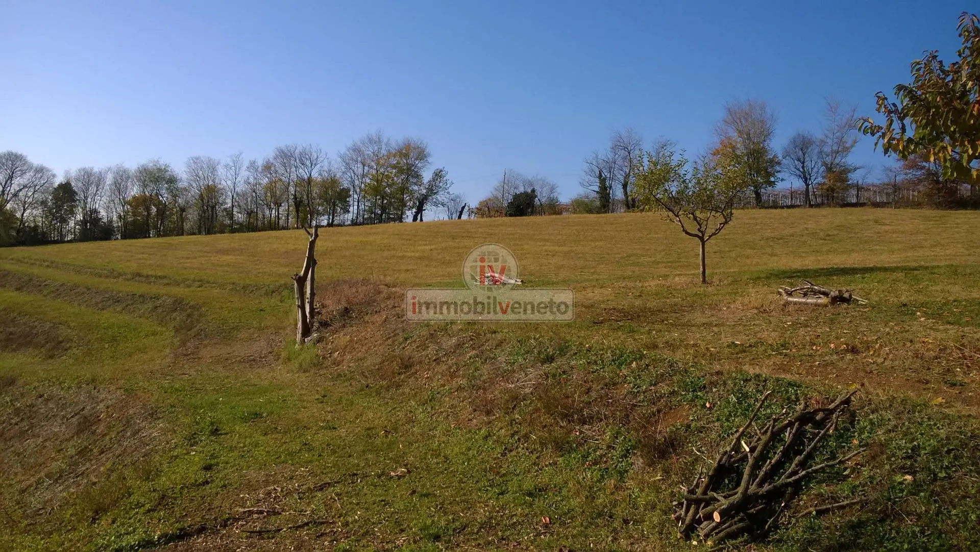 Immagine per Terreno Edificabile in vendita a Valdastico VIA ROMA 52